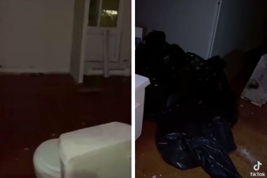 IMG_256
